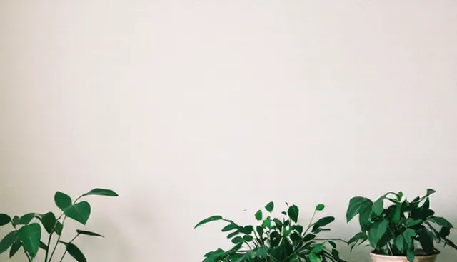 数据处理中如何选择合适的技术支持？