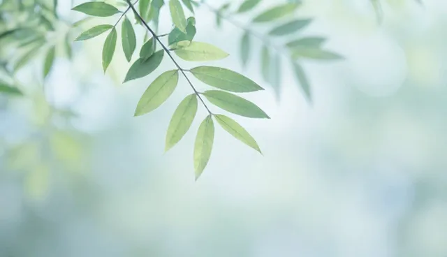 企业网站策划如何避免误区，提升产品效果