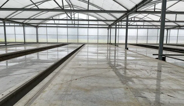 系统集成中性能优化的常见问题与使用场景分析