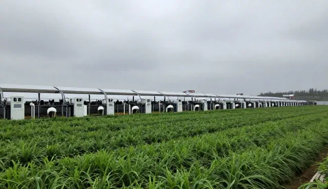 智能监控系统部署中性能分析的两种做法对比