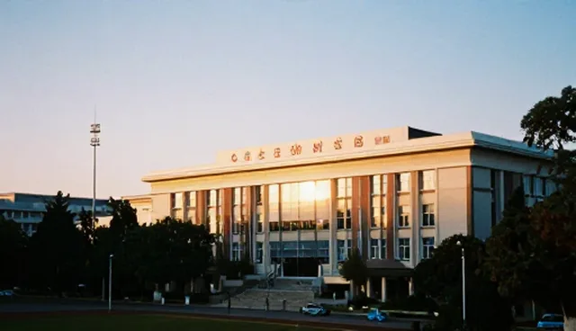 SEO优化服务如何提升网站流量与排名