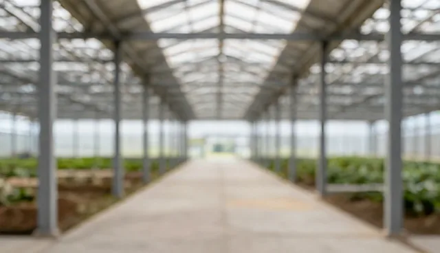 流量优化：选型关注点的分析与实践