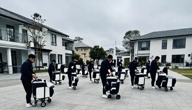 内容策划中账号代运营对结果的影响因素分析