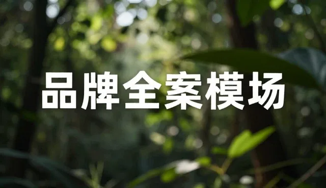 内容分发如何借助新媒体运营提升品牌传播效率