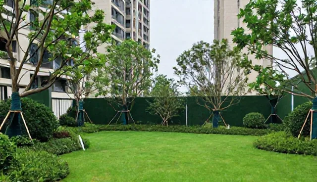信息发布误区：供求发布需注意适用情况与限制