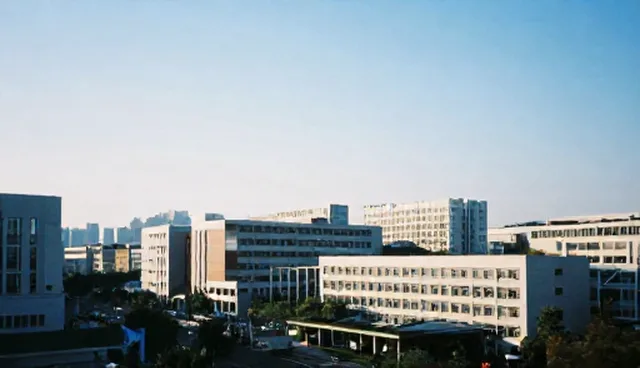 技术咨询在使用场景中的实施建议