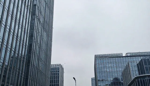 市场调研在商务决策中的关键作用与常见误区