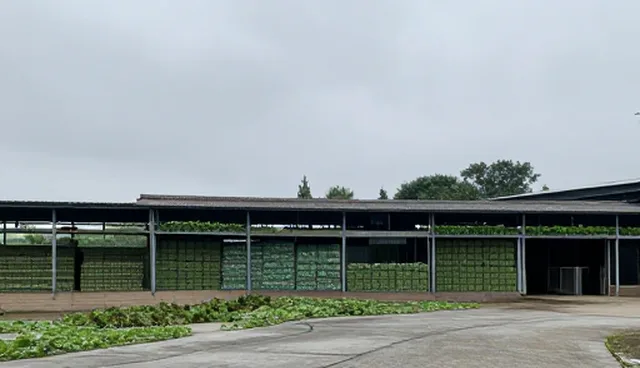 农产品加工选型关注点：设备投入与运营成本的取舍