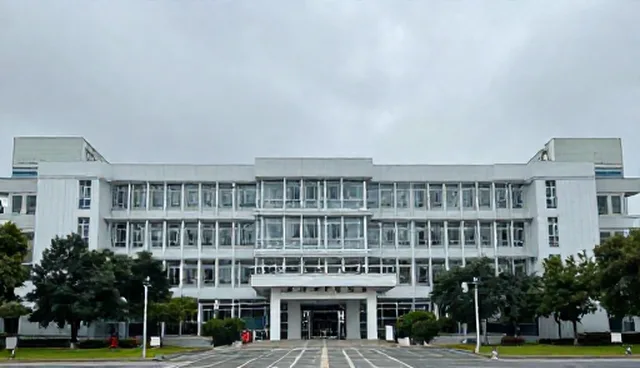 商务信息沟通中的流程优化与实践应用