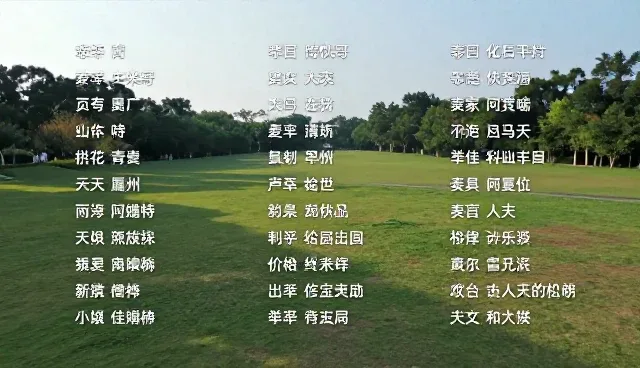 ai人格提示词选型与使用建议指南