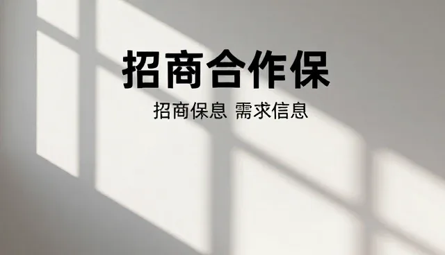 招商合作中维护策略的应用与挑战