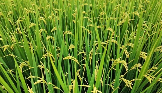 温湿度控制：加工行业适用条件分析