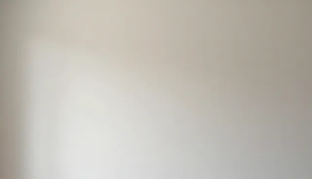 技术推广服务中的性能优化与适用条件分析