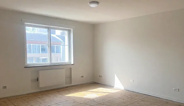 提升工作效率的技术支持方案与使用建议
