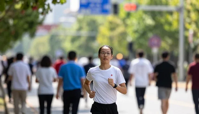 系统集成中定制化设计对运维效率的影响