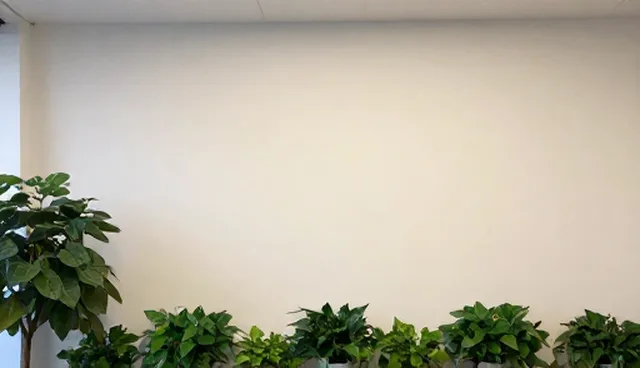 线上店铺定制服务如何优化选品与运营环节