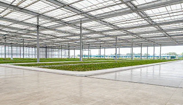 财税市场调研分析报告适用情况与限制
