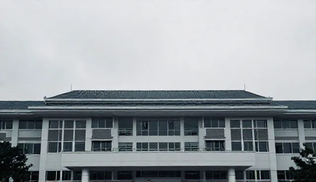慢病随访系统使用与维护的实用建议