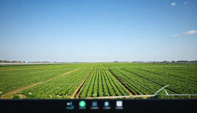 科技型企业数据管理中的实际问题与应对策略