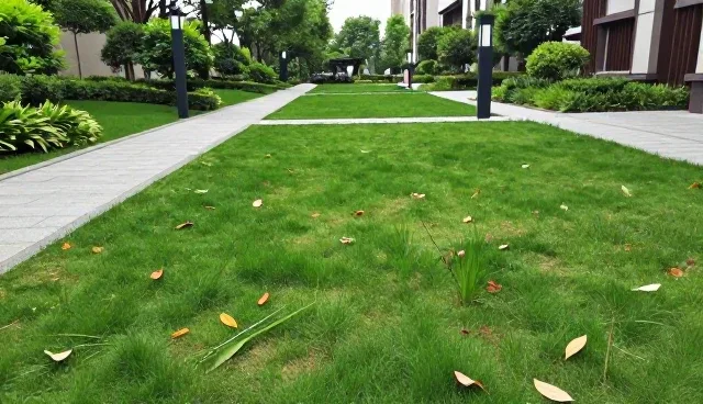 家政保洁服务选择需关注使用场景的适用条件