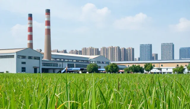 网络技术咨询中，如何避免常见误区？