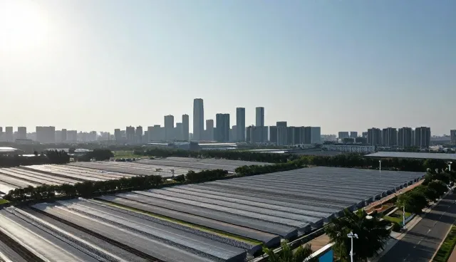 技术方案设计中的维护建议与应用场景分析