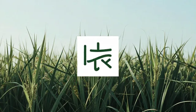 用户互动设计效果检查的5大要点