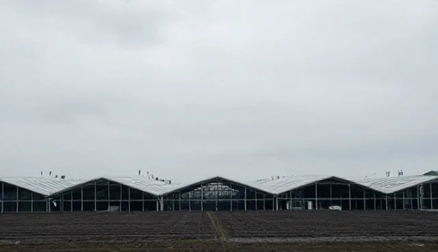 系统性能优化：选型关注点与实施流程
