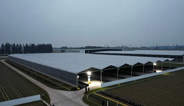 周末推广策略在医疗技术推广中的适用条件与选择依据