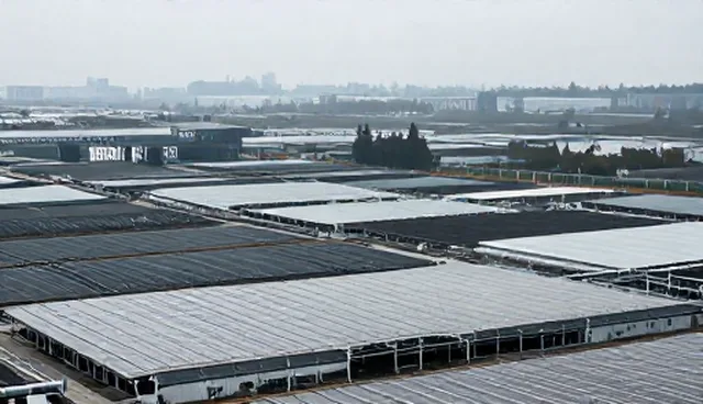 线上平台搭建中的维护策略及应用场景分析