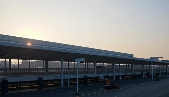 技术支持套餐：适用条件与使用建议分析