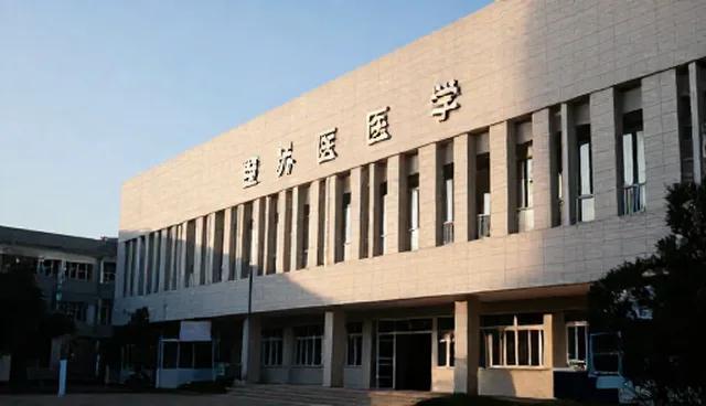 维护策略：信息管理中的选型关注点分析