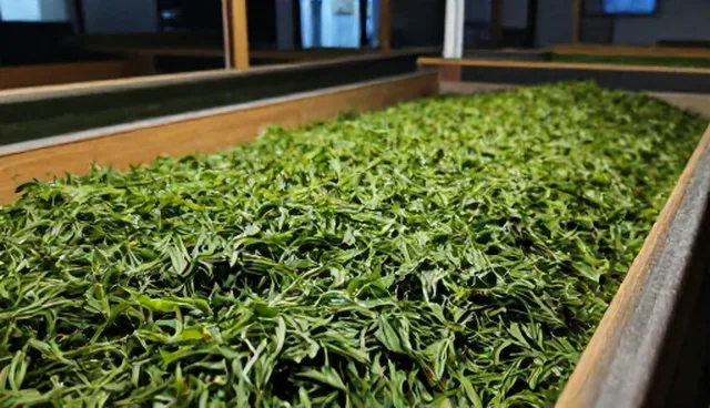 农产品加工中温度控制的适用条件与选择依据