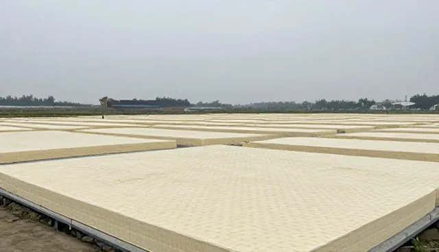 床垫研发中常见误区及应用场景分析