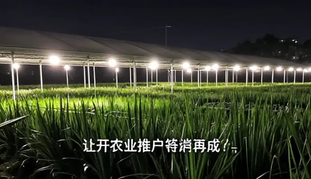 内容分发中品牌推广策略的选型关注点解析