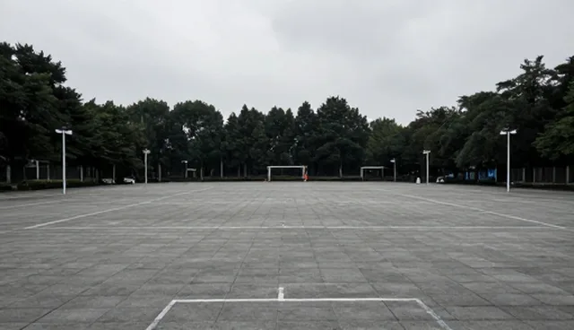 职业规划如何避免误区？就业指导服务的适用条件分析