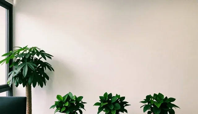 运维服务中技术安装的常见误区澄清