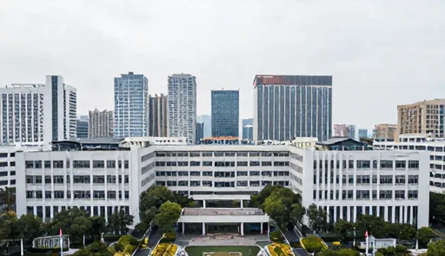 软件安装在系统集成中的适用情况与限制