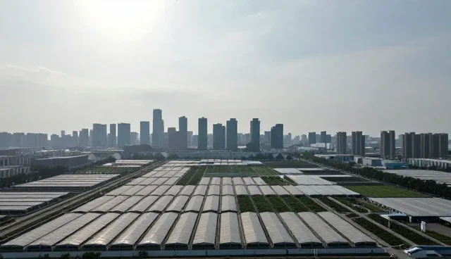 企业信息展示：如何提升匹配效率与精准度
