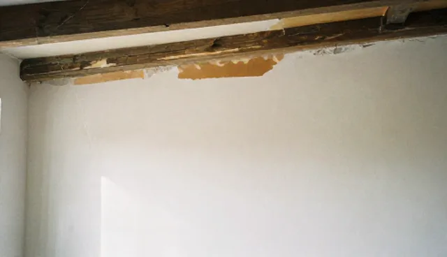专业服务选型关注点及技术应用建议