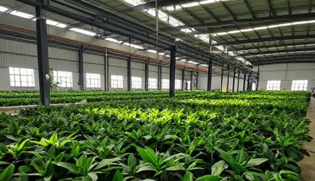 技术外包中的成果转化：适用条件与选型建议