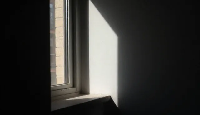 出入库流程的适用场景与限制条件
