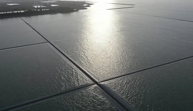 自主开发：技术转让等选型关注点分析