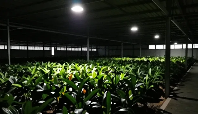 软件性能优化的适用场景与限制分析