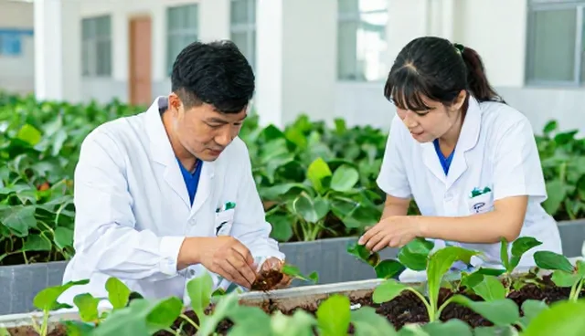 渠道供货中的农机应用与技术指导流程