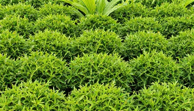 材料供应中使用规范的常见误区与应对策略