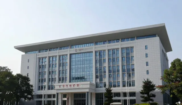 市场调研：如何避免数据误读与信息偏差