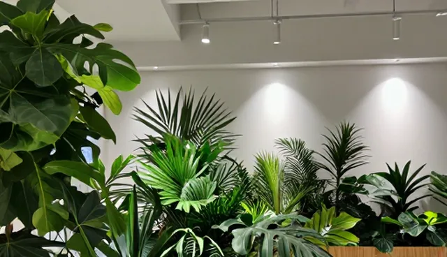 服务器性能提升的选型与维护建议