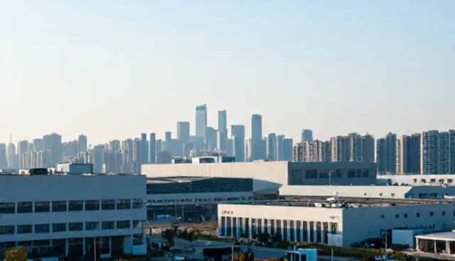 资源分配：软件研发中的技术指导应用分析