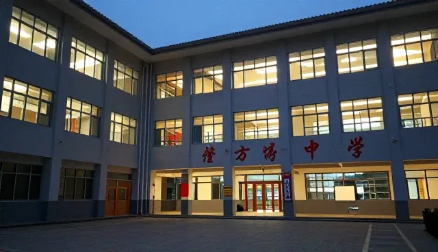 技术咨询服务在性能优化中的适用情况与建议